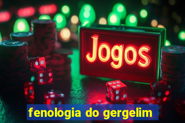 fenologia do gergelim